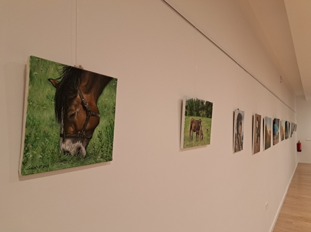 Leah Artist razstava 7